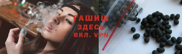 гашик Алексеевка