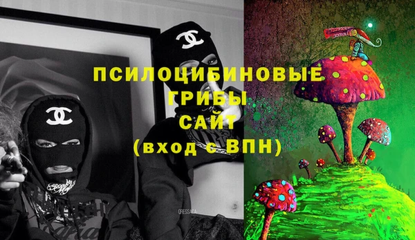 не бодяженный Алексин