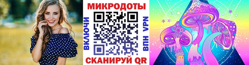 Псилоцибиновые грибы мицелий Завитинск